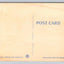 City Park, Denver, Colorado, N108 Flower Gardens Vintage Postcard - NICE!