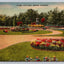 City Park, Denver, Colorado, N108 Flower Gardens Vintage Postcard - NICE!