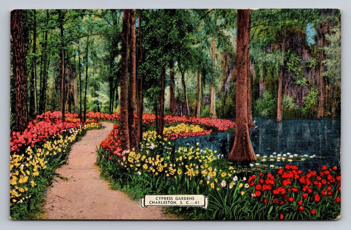 Cypress Gardens, Charleston, South Carolina Vintage Postcard