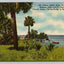 Scenic Indian River Drive, Ft. Pierce / Stuart, Florida Vintage Postcard