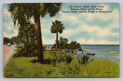 Scenic Indian River Drive, Ft. Pierce / Stuart, Florida Vintage Postcard