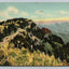 Scene from Sandia Crest, Sandia Mountains, East of Albuquerque, NM Postcard