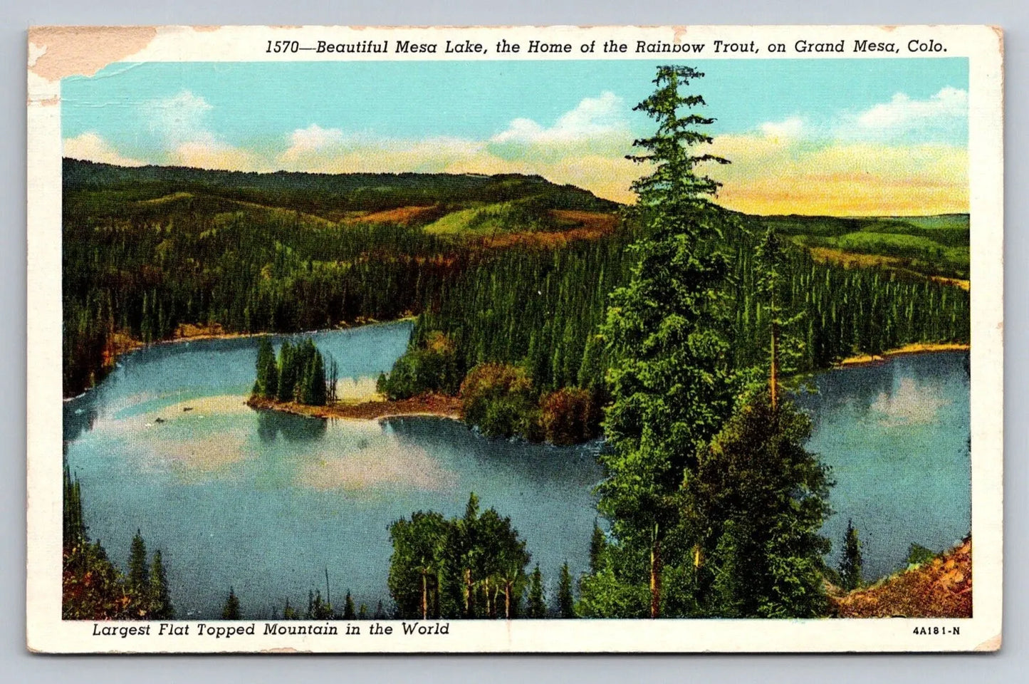 Beautiful Mesa Lake, Home of Rainbow Trout, Grand Mesa, Colorado Postcard