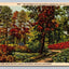 University of Wisconsin Arboretum, Wild Life Reguge, Madison, WI Postcard