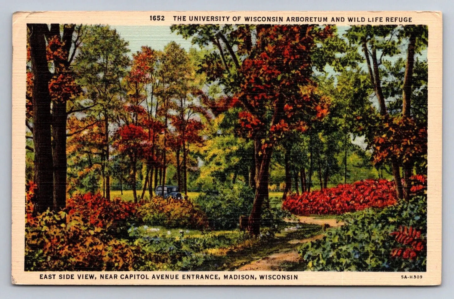 University of Wisconsin Arboretum, Wild Life Reguge, Madison, WI Postcard