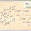 Swaying Palms at a Typical Miami Beach (Florida) Vintage Postcard