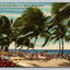 Swaying Palms at a Typical Miami Beach (Florida) Vintage Postcard