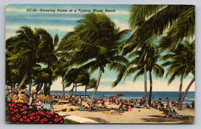 Swaying Palms at a Typical Miami Beach (Florida) Vintage Postcard