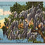 An Age-old Monarch of the South, Live Oak Tree, Spanish Moss, Coast Postcard