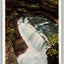 Diamond Falls, Watkins Glen, NY New York Vintage Postcard