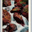 Portion of the Falls at Green Mountain Falls, Pikes Peak, Colorado Postcard