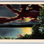 Untitled Moonlight Over Water Scene, Asheville Postcard Co., NC Vintage Postcard