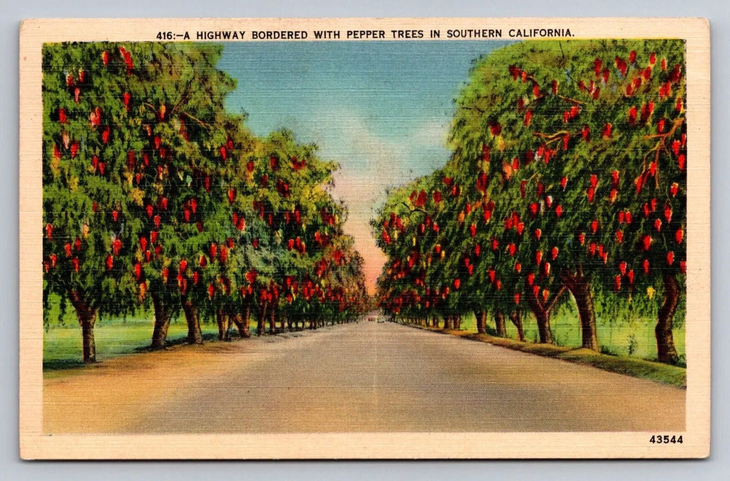 Highway Bordered with Peppers Trees in Southern California Vintage Postcard