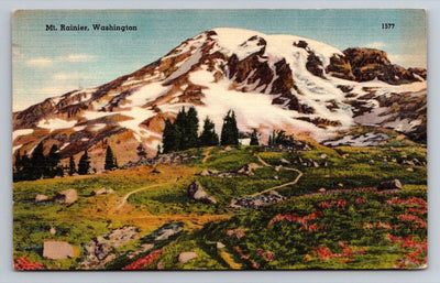 Mt. Rainier, Washington - 1577 (Mount Raineer) Vintage Postcard **SPECIAL**