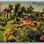 Fairyland Beauty, Bayfront Park, Miami, Florida - Flowers & Palm Trees Postcard