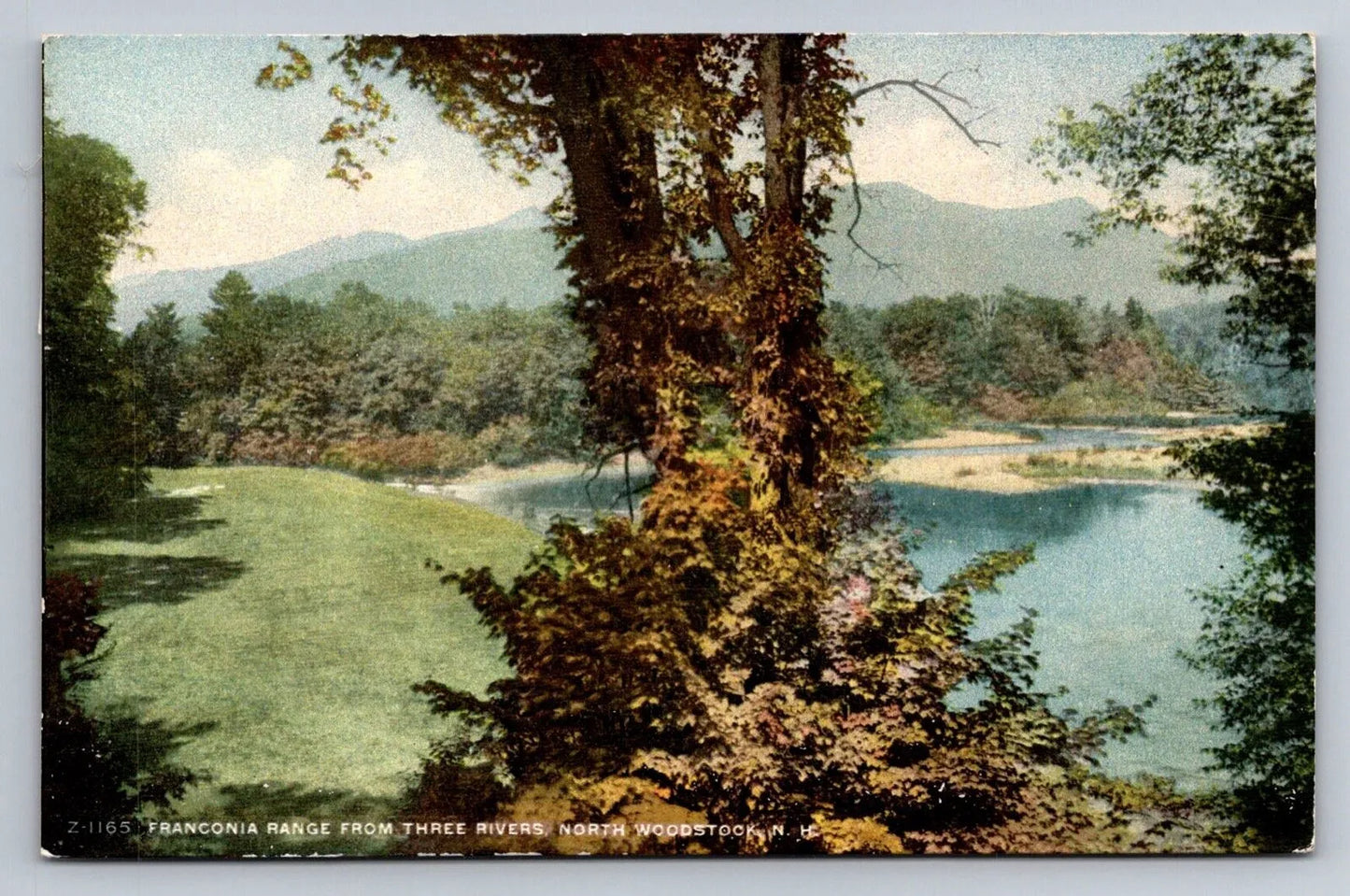 Ranconia Range from Three Rivers, North Woodstock, NH Vintage Postcard