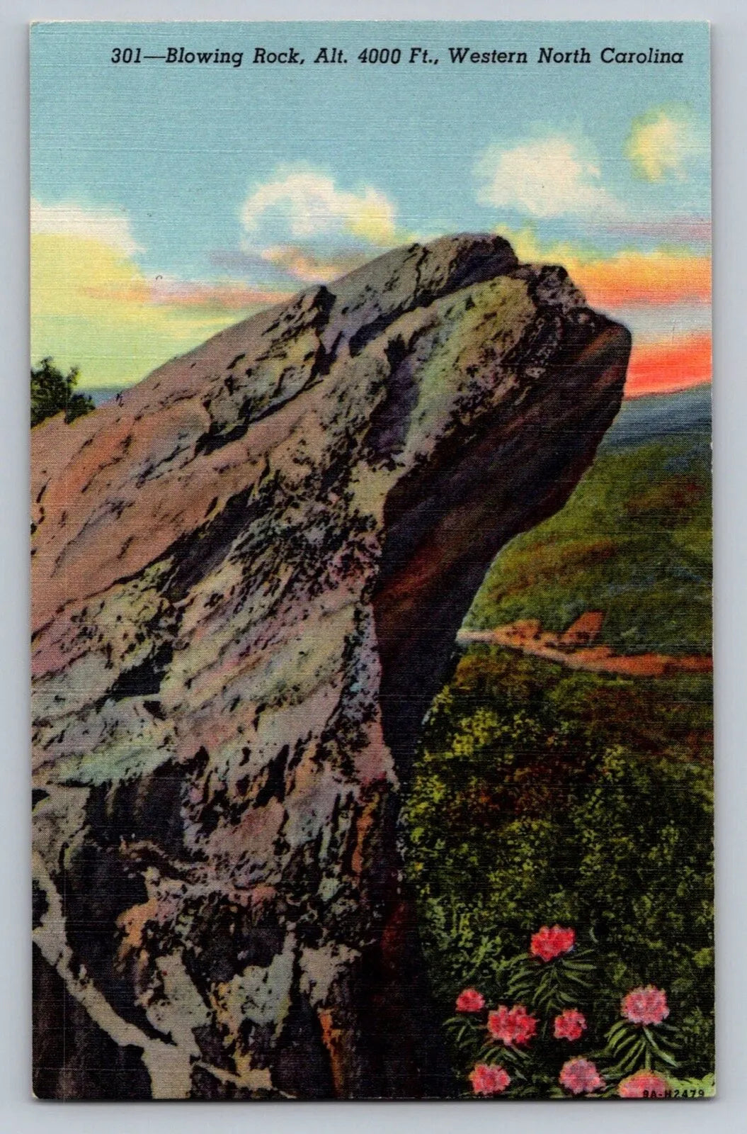 Blowing Rock, Alt. 4000 Ft., Western North Carolina Vintage Curt Teich Postcard