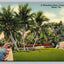 A Waterfront Estate, Coconut Grove, Miami, Florida - Palm Trees, Water Postcard