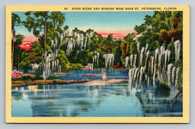 River Scene and Spanish Moss Near St, Petersburg, Florida Vintage Postcard