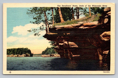 The Swallows' Nests, Dells of the Wisconsin River Vintage Curt Teich Postcard