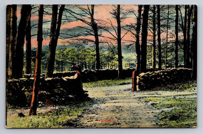 Evening Scene with Trees and Stone Walls Vintage Postcard