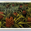 A Pineapple Field, Florida 23328 Vintage Postcard