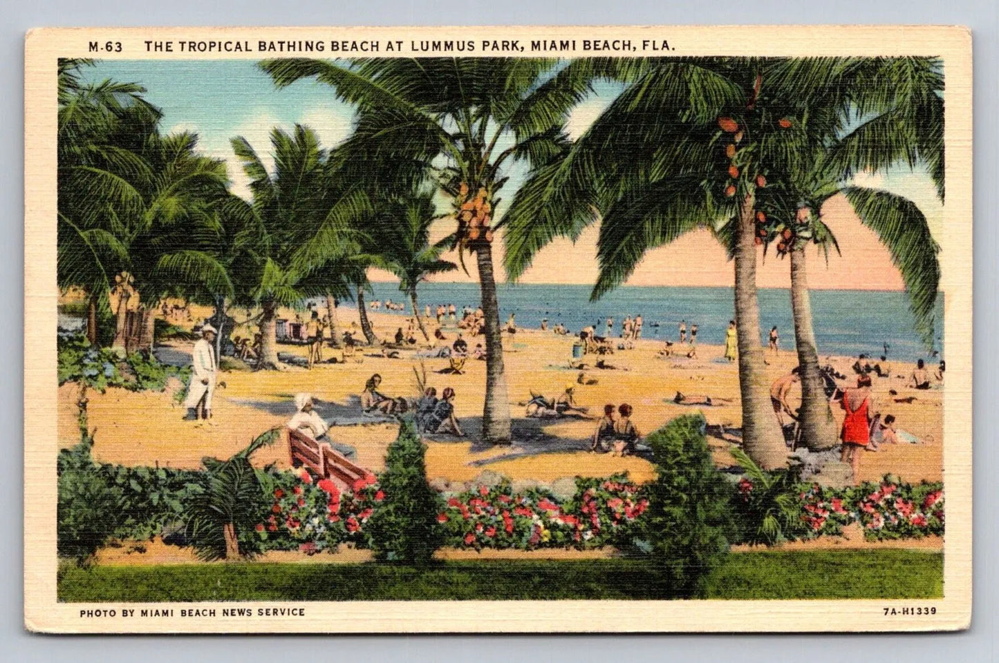 Tropical Bathing Beach at Lummus Park, Miami Beach, Florida Vintage Postcard