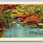 Untitled Water Scene with Fall Foloage, Asheville Postcard Co. Vintage Postcard