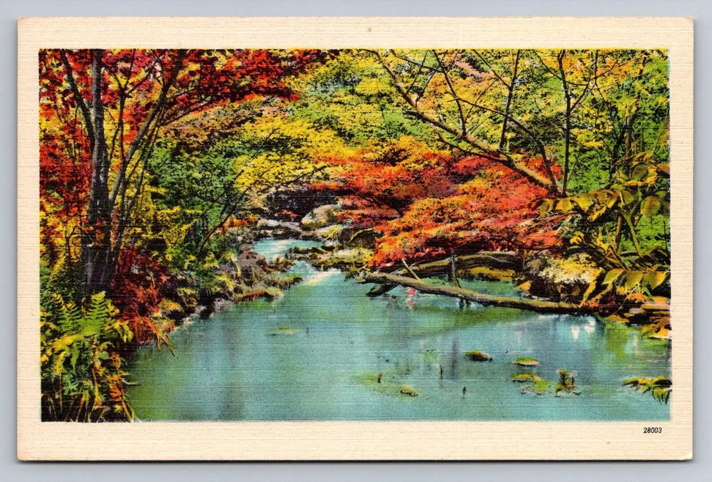 Untitled Water Scene with Fall Foloage, Asheville Postcard Co. Vintage Postcard