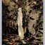 Fall of Song, Ossipee Park, Waterfall (New Hampshire) Vintage Postcard - Great!