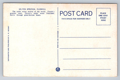 Silver Springs is 5 1/2 Miles from the City of Ocala, Florida Vintage Postcard