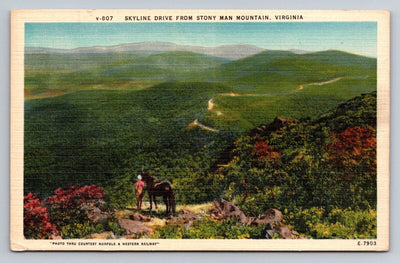 Skyline Drive from Stony Man Mountain, Virginia Vintage Postcard