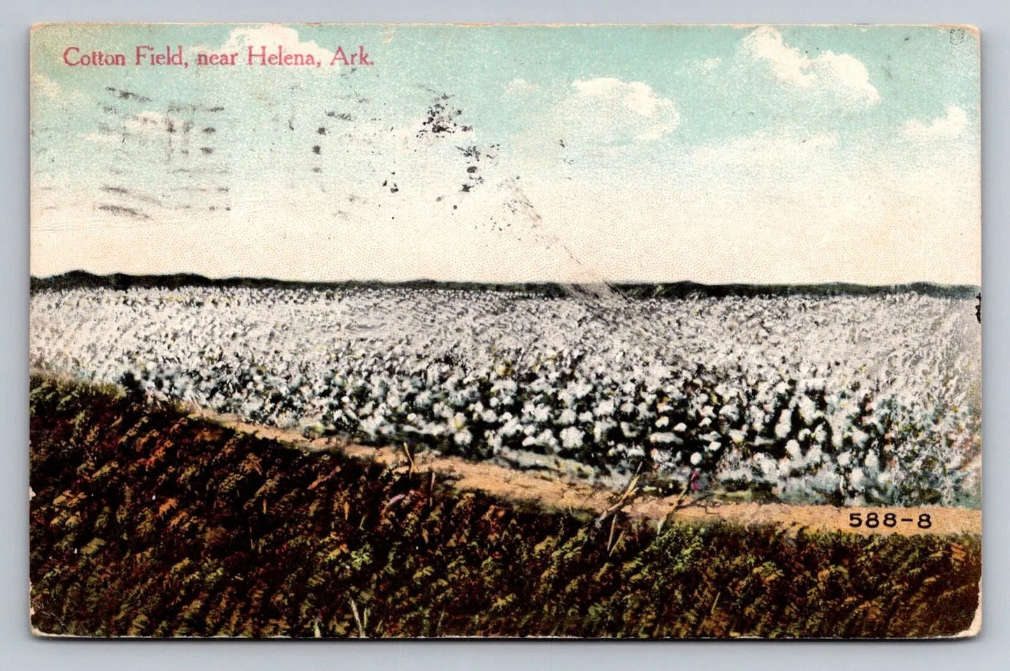 Cotton Field, Near Helena, Ark. (Arkansas) Vintage Postcard (circa 1911)