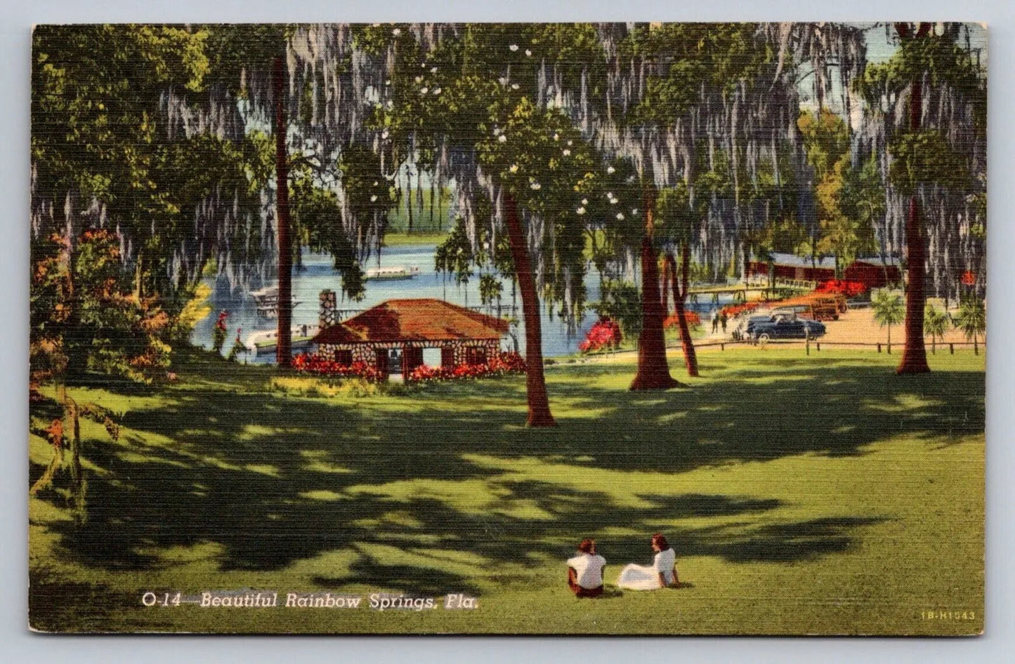 Beautiful Rainbow Springs, Florida Vintage Postcard