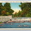 Patterson School Dam on Buffalo Creek, Near Lenoir, NC (North Carolina) Postcard