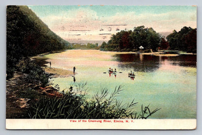 View of the Chemung River, Elmira, NY (New York) Vintage Buffalo New Co Postcard