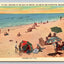 Bathing in the Gulf of Mexico on Attractive Beach, Panama City, Florida Postcard