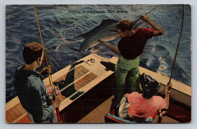 Fishing in the Florida Gulf Coast, Marlin Vintage Curt Teich Postcard