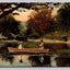 Untitled Man and Woman in Small Boat Amongst Trees Vintage Postcard - Wow!