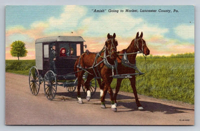 Amish Going to Market, Lancaster County, Pa., Horse and Carriage Postcard