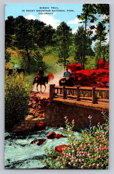 Scenic Trail, in Rocky Mountain National Park, Colorado - Horses Postcard