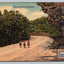 Bridle Paths in the Ozarks, Riders on Horseback (Arkansas) Vintage Postcard