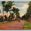 The Lake Trail, Palm Beach, Florida with Large Stamp Vintage Postcard