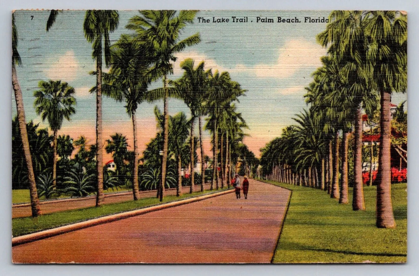 The Lake Trail, Palm Beach, Florida with Large Stamp Vintage Postcard