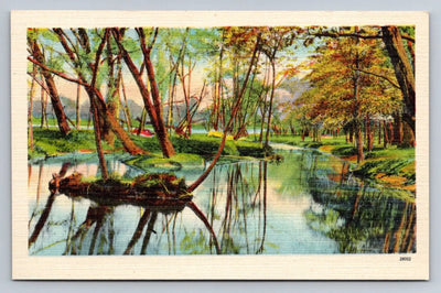 Untitled Water with Trees, North Carolina Vintage Postcard