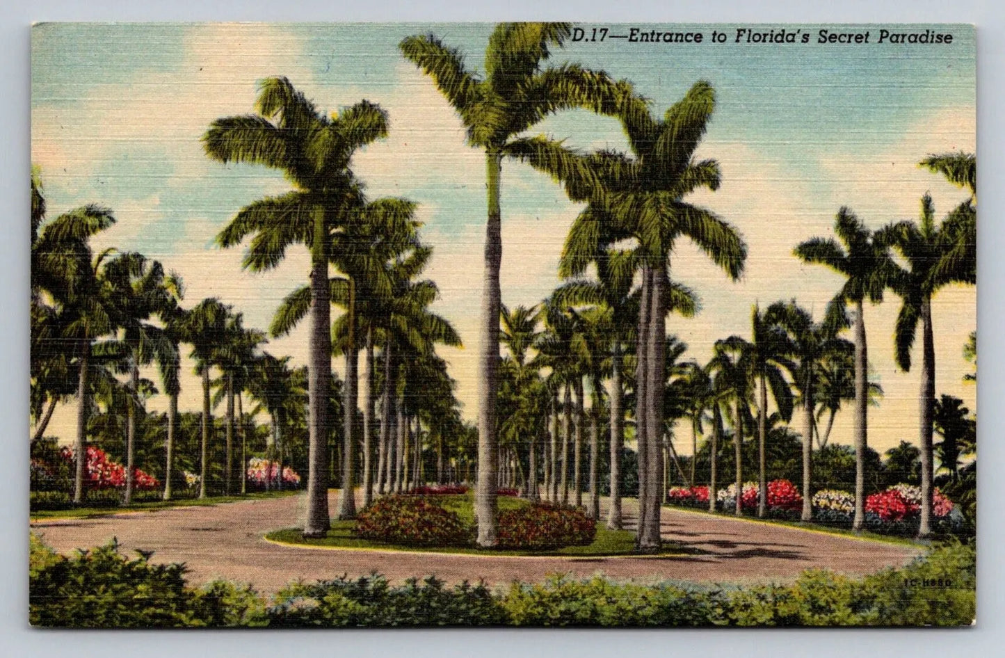 Entrance to Florida's Secret Paradise - Palm Trees Vintage Postcard - Wow!