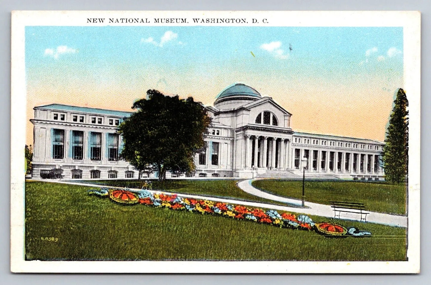 New National Museum. Washington, DC Vintage Postcard