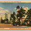 Collins Ave, Miami Beach, FL, Dempsey-vanderbilt and Roney Plaza Hotels Postcard