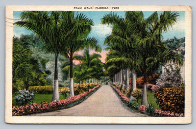 Palm Walk, Florida - F218 Vintage Postcard