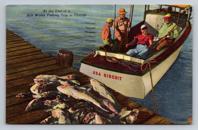 At the End of a Salt Water Fishing Trip in Florida, Sea Biscuit Vintage Postcard